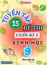 Tuyển tập 15 Đề thi cuối Kì 1 môn Sinh Học 9 sách Kết Nối Tri Thức (Kèm đáp án)